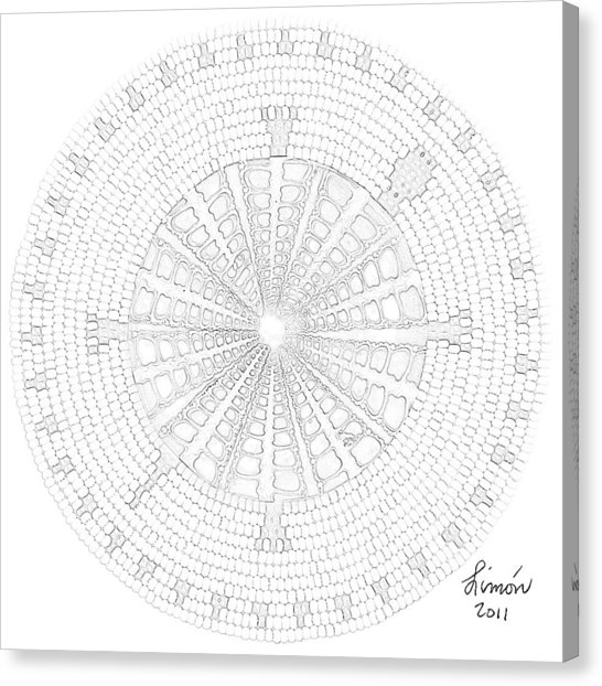 546x622 Turtle Shell Canvas Prints - Turtle Shell Pattern Drawing