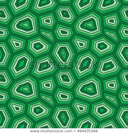 450x470 Turtle Shell Design - Turtle Shell Pattern Drawing