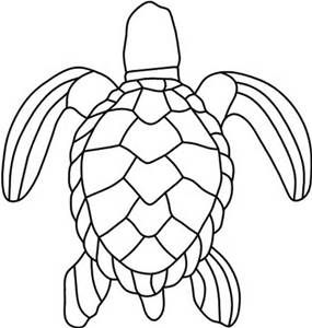 285x300 Turtle Shell Designs - Turtle Shell Pattern Drawing