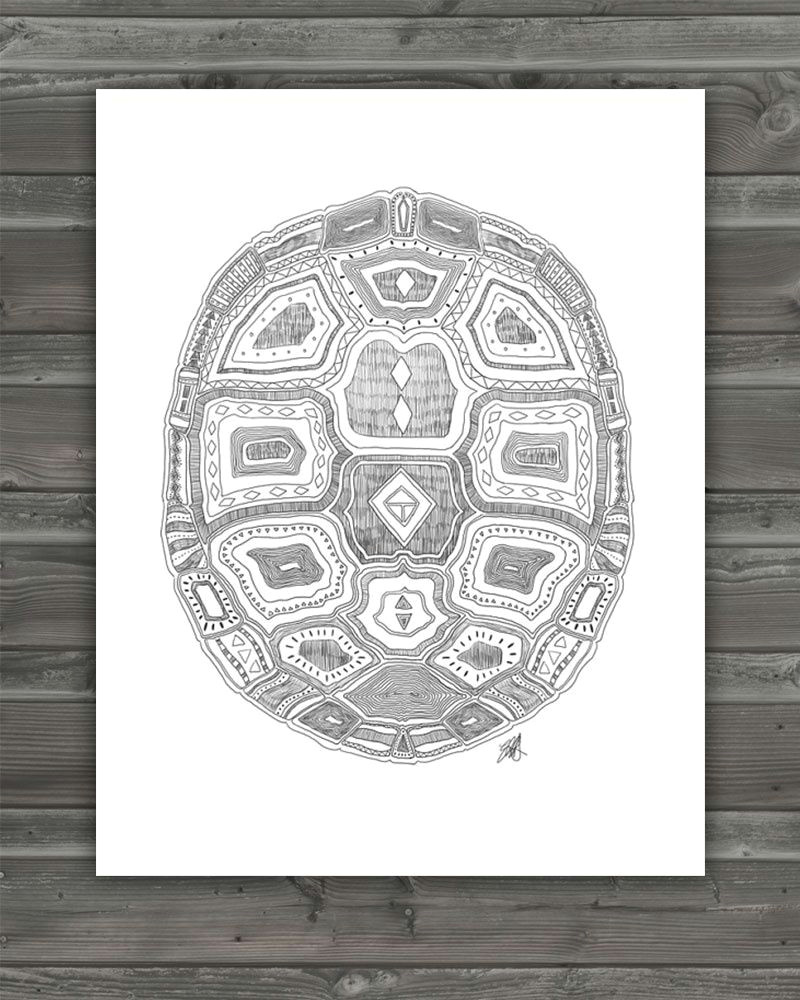 Turtle Shell Pattern Drawing at PaintingValley.com | Explore collection ...