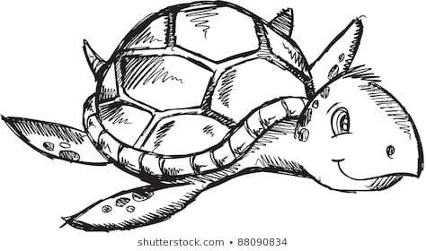 474x280 Cute Sketch Doodle Drawing Sea On Turtle Drawings - Turtle Sketch Drawing