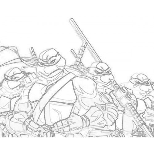 500x500 Ninja Turtles Sketch For Canvas Painting - Turtle Sketch Drawing