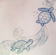 235x228 turtle sketches learn to draw drawings, turtle painting, turtle - Turtle Sketch Drawing