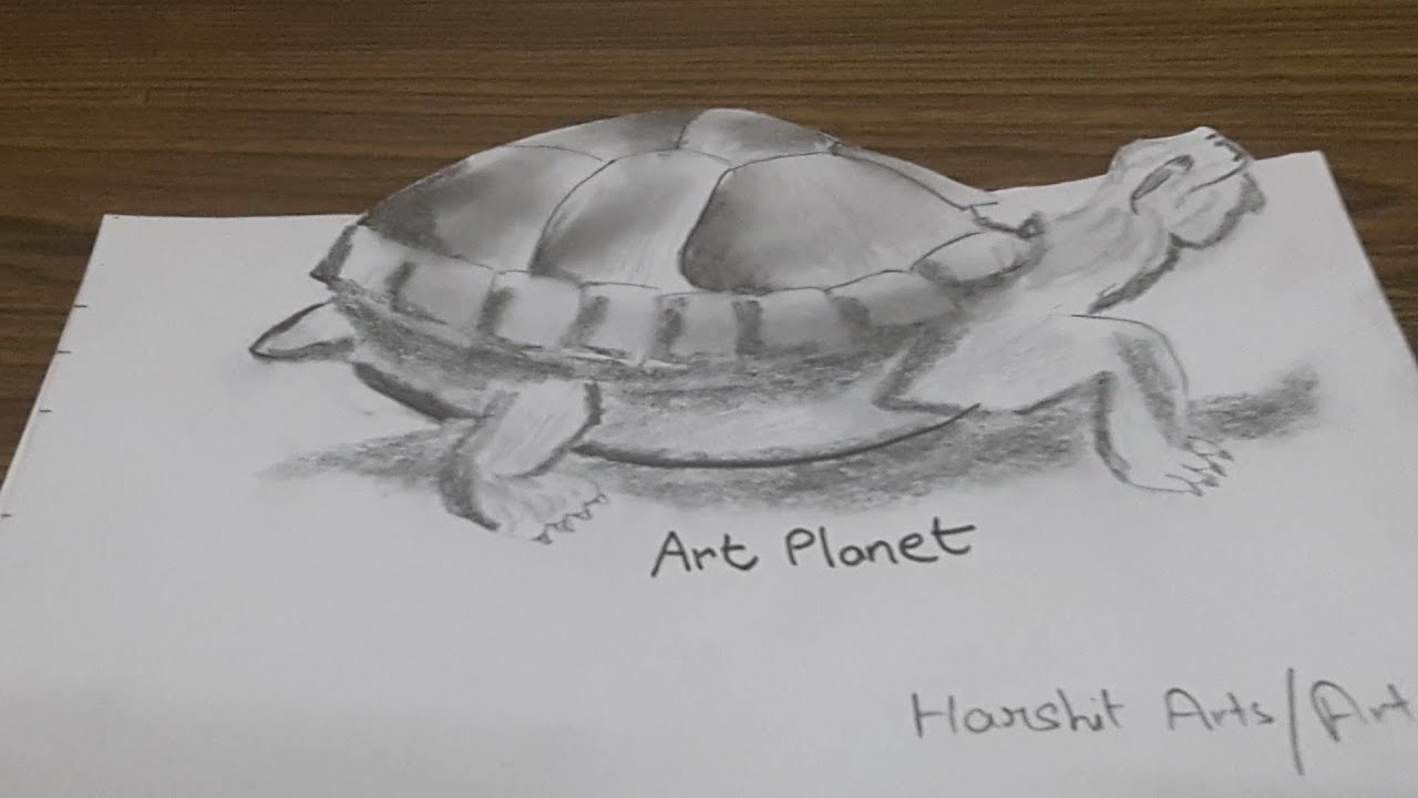 1280x720 How To Draw Incredible Animal Turtle - Turtle Sketch Drawing