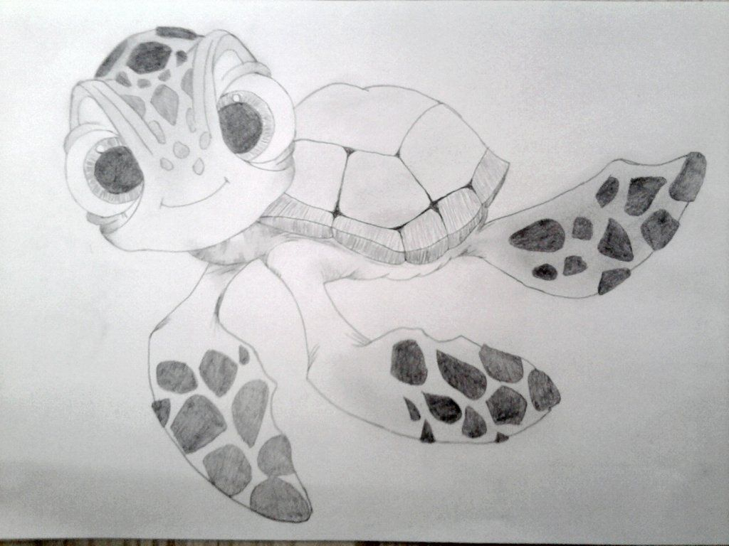 1024x768 Baby Turtle Sketch Cute Turtle Drawings Cute Drawings Of Baby - Turtle Sketch Drawing