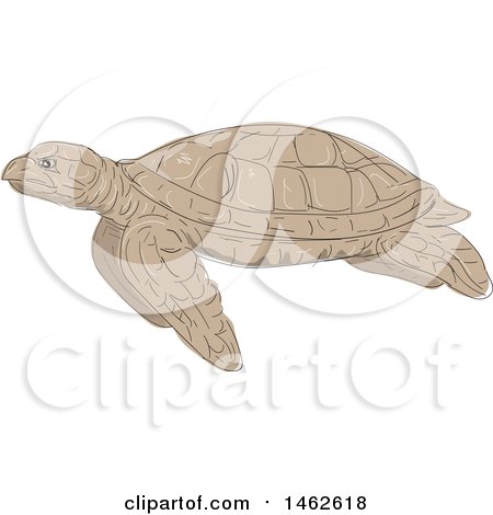 450x470 Clipart Of A Swimming Hawksbill Sea Turtle In Profile, In Drawing - Turtle Sketch Drawing