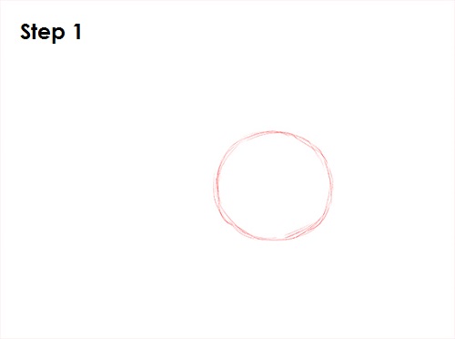 500x372 How To Draw A Green Sea Turtle - Turtle Step By Step Drawing