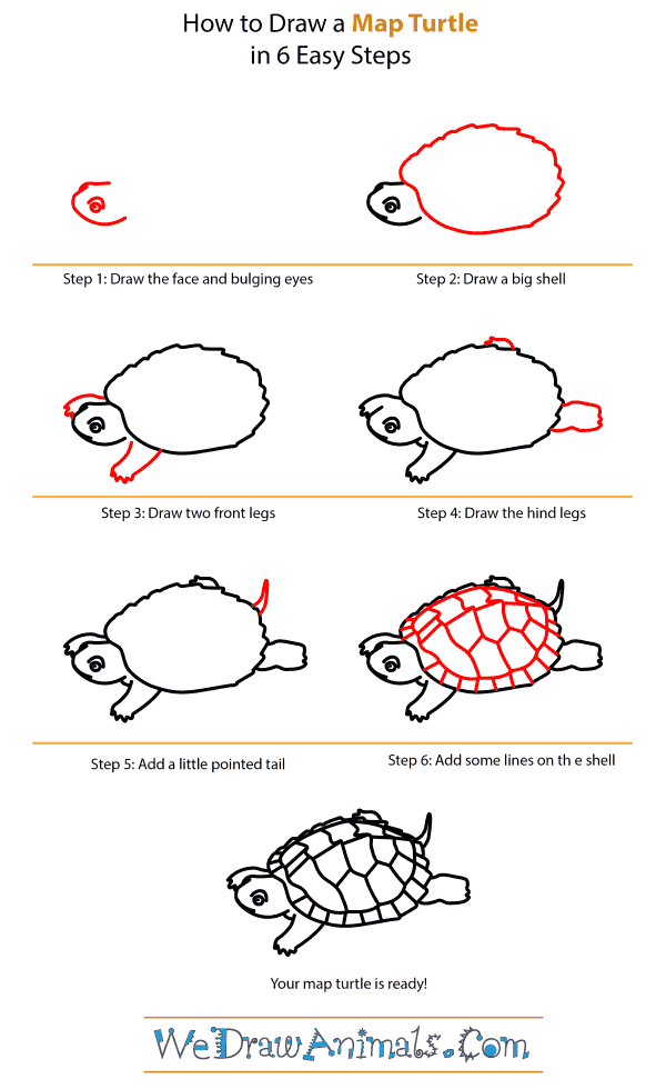 600x980 How To Draw A Map Turtle - Turtle Step By Step Drawing