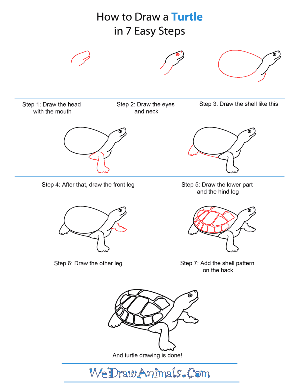 600x776 How To Draw A Turtle - Turtle Step By Step Drawing