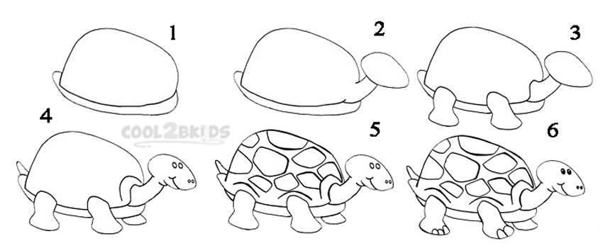 850x350 How To Draw A Turtle - Turtle Step By Step Drawing