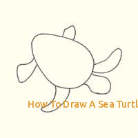 200x200 How To Draw A Sea Turtle Step - Turtle Step By Step Drawing