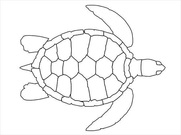 Turtle Swimming Drawing at PaintingValley.com | Explore collection of ...