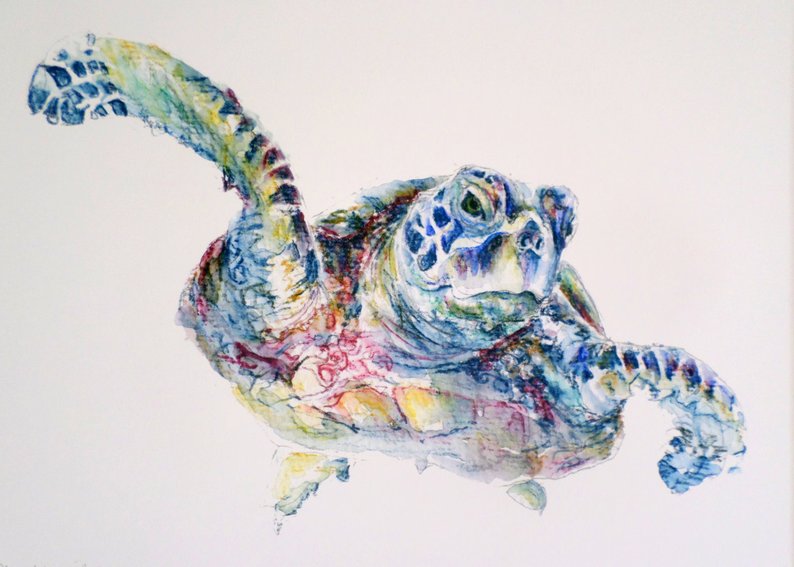 794x567 turtle illustration turtle drawing turtle painting sea etsy - Turtle Swimming Drawing