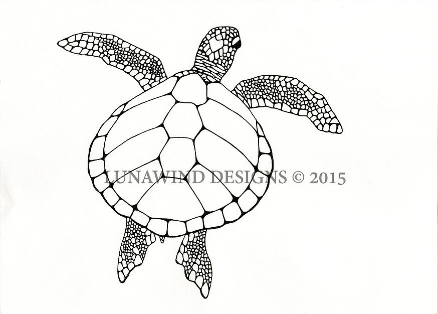 874x626 sea turtle ocean green turtle tortoise swim scuba coral lunawind - Turtle Swimming Drawing