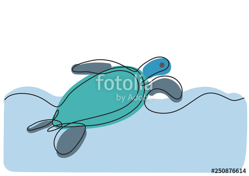 500x354 Single Line Drawing Of Sea Turtle Swimming Stock Image - Turtle Swimming Drawing