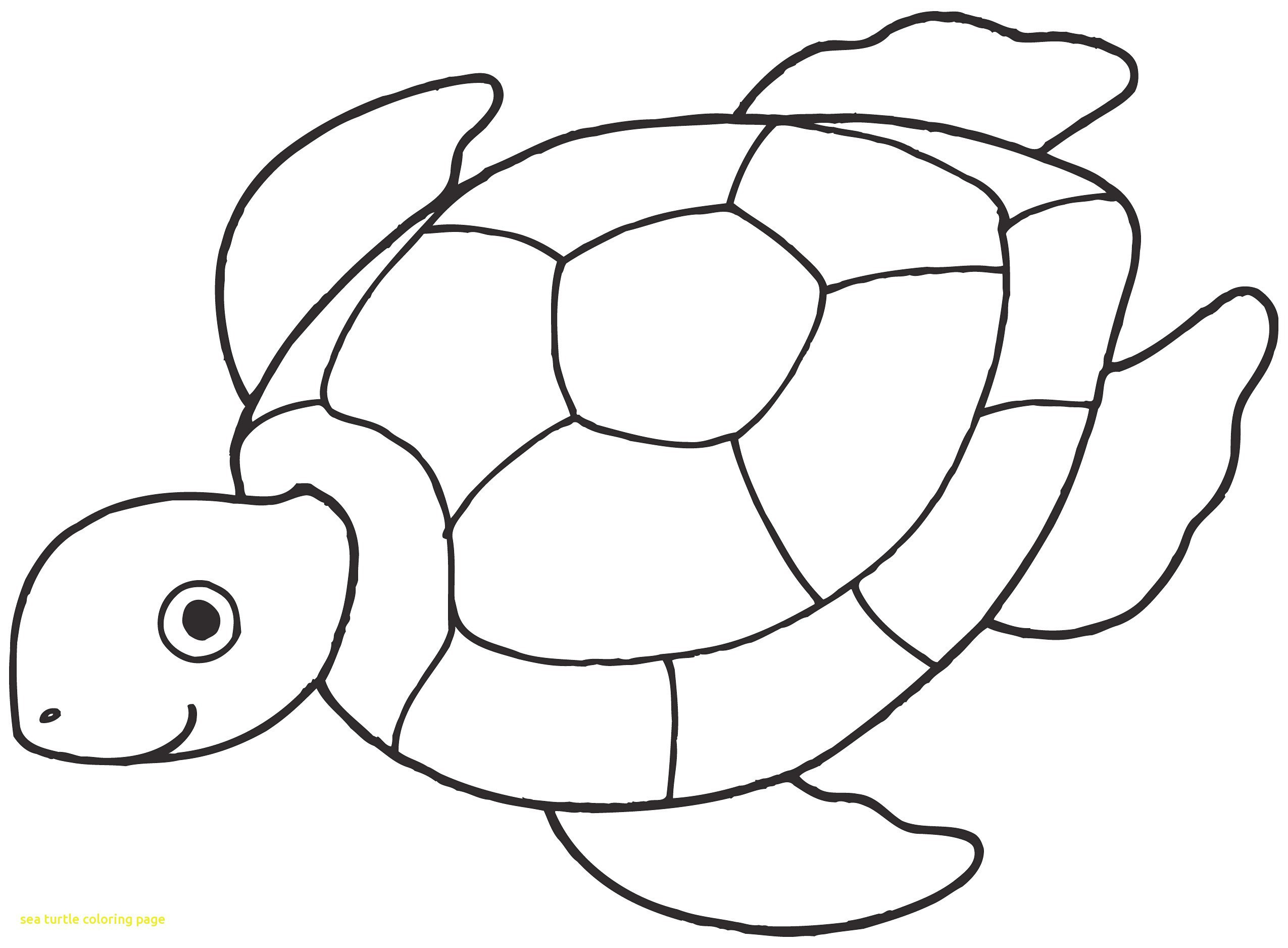 2550x1876 cute sea turtle mother and baby sea turtles swimming together cool - Turtle Swimming Drawing