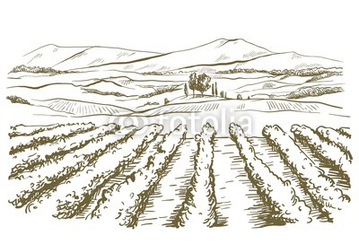 400x272 Drawing Of The Landscape Of The Italian Province Of Tuscany Buy - Tuscany Drawing