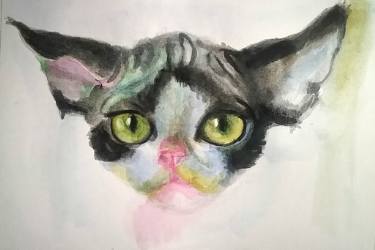 375x250 black and white tuxedo cat painting - Tuxedo Cat Drawing