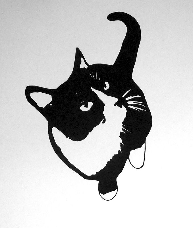679x800 Cat Silhouette Art - Tuxedo Cat Drawing