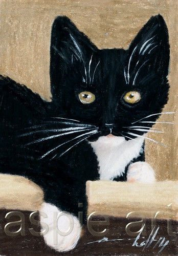 348x500 details about aceo original pastel drawing tuxedo cat - Tuxedo Cat Drawing