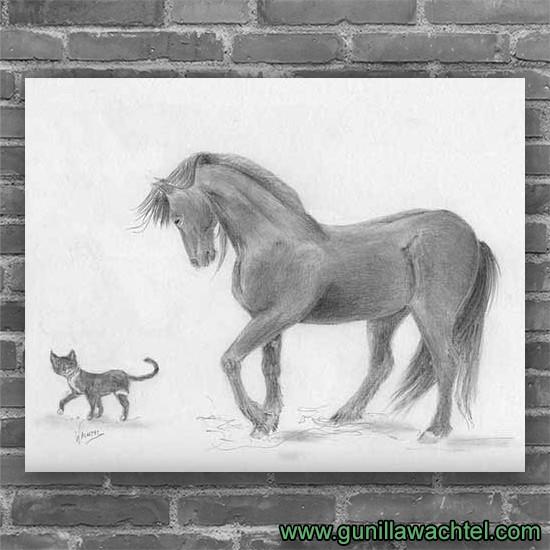 550x550 Friesian Horse With Cat - Tuxedo Cat Drawing