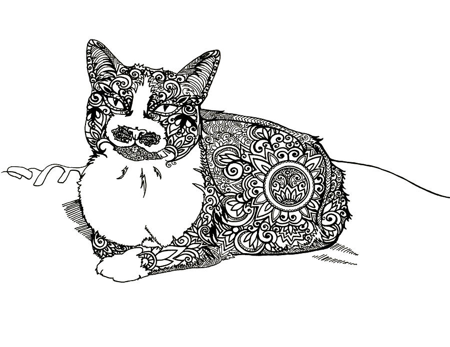 900x695 tangle pattern tuxedo cat drawing - Tuxedo Cat Drawing