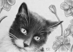 300x215 tuxedo cat aceo miniature art print of graphite drawing animal - Tuxedo Cat Drawing