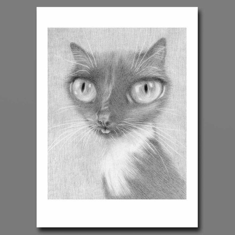 794x794 tuxedo cat art print cat tongue blep derpy cat art black etsy - Tuxedo Cat Drawing