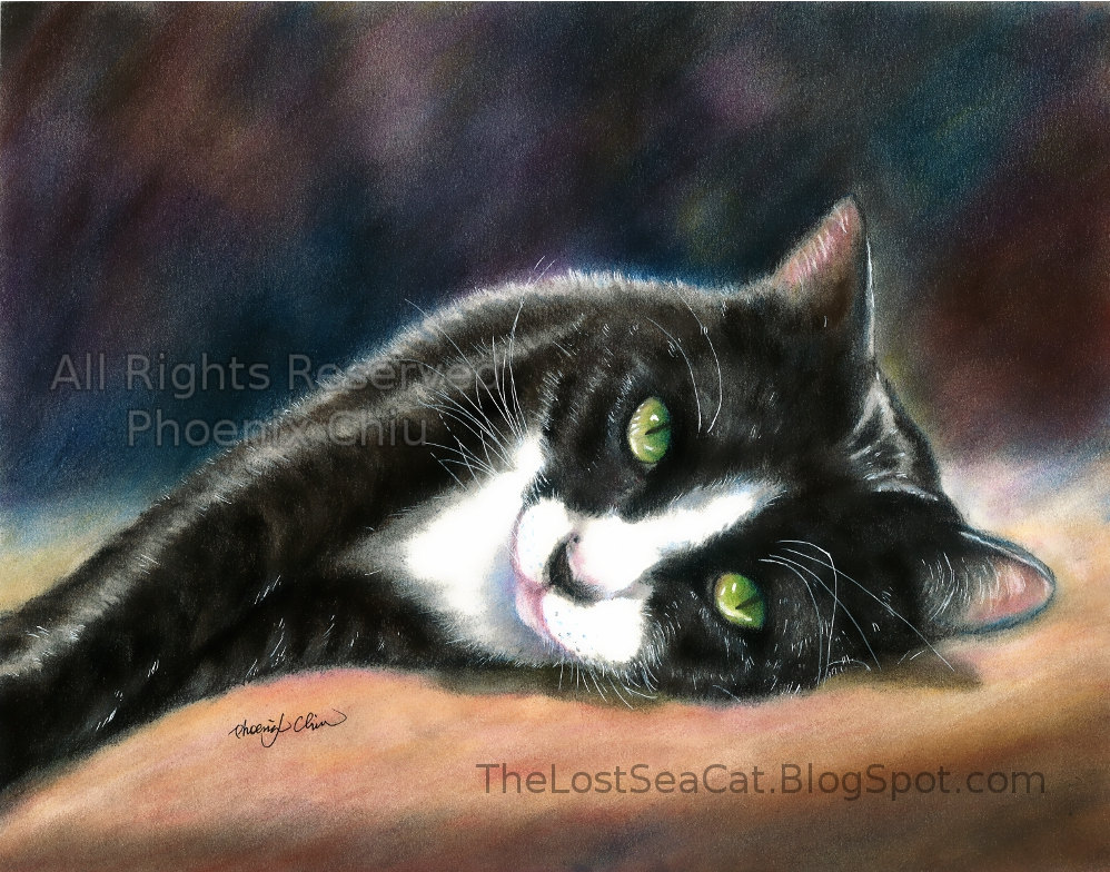 998x784 tuxedo cat print - Tuxedo Cat Drawing