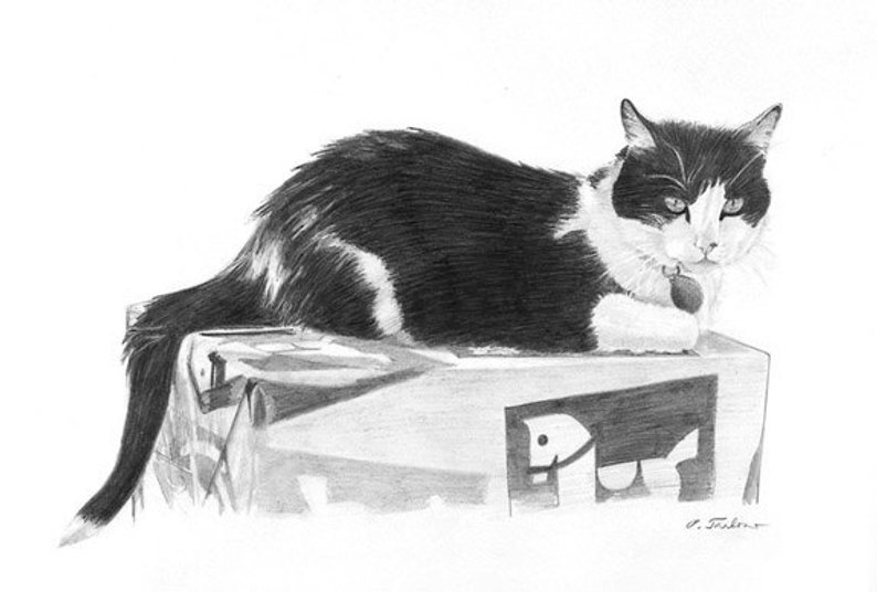 794x536 black and white cat art print tuxedo cat drawing cat drawing etsy - Tuxedo Cat Drawing