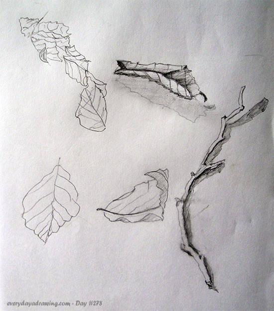 550x623 day - Twig Drawing