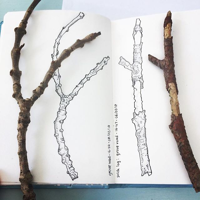 640x640 drawing more plants - Twig Drawing