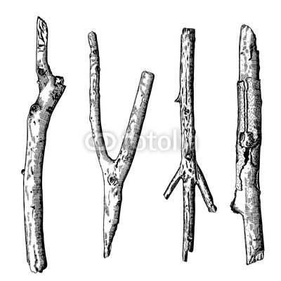 400x400 hand drawn wood twig set, ink rustic design elements collection - Twig Drawing