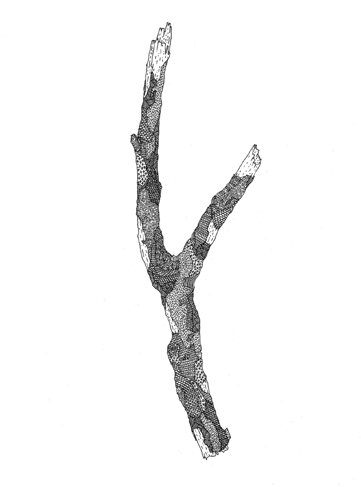 742x1000 twig drawing line for free download - Twig Drawing