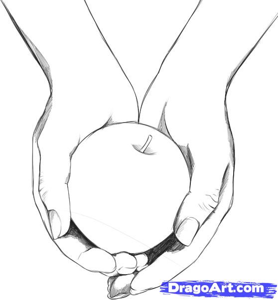 558x602 how to draw twilight, step - Twilight Drawings