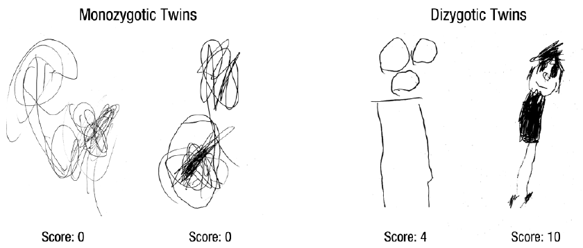 840x358 sample drawings of one pair of monozygotic twins - Twins Drawing