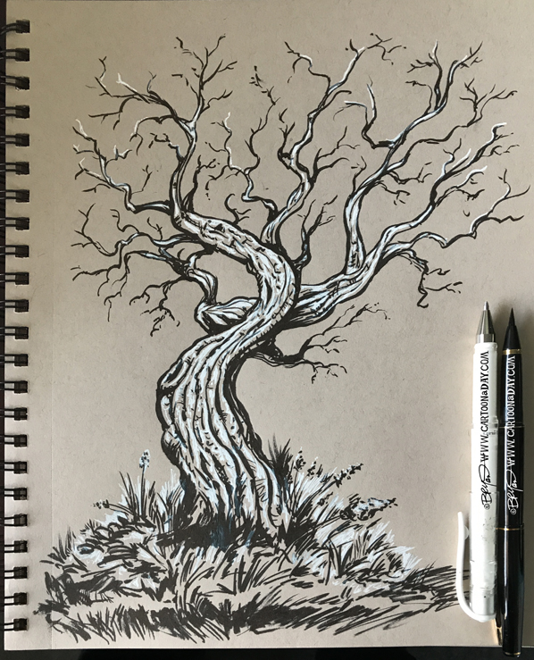 598x739 Twiggy Twisted Tree Sketchbook Cartoon - Twisted Tree Drawing. 
