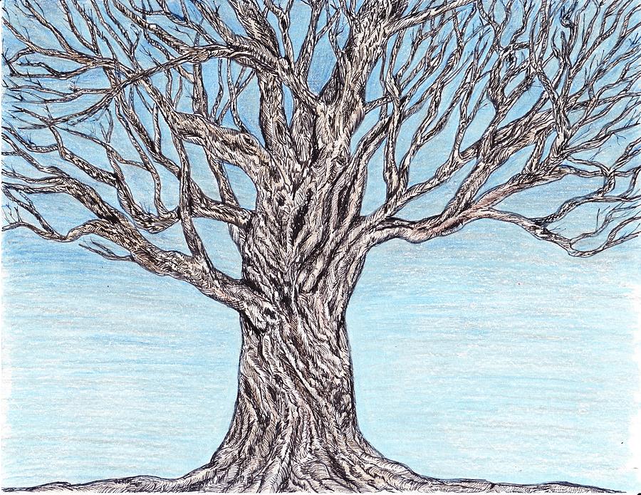 Twisted Tree Drawing at PaintingValley.com | Explore collection of