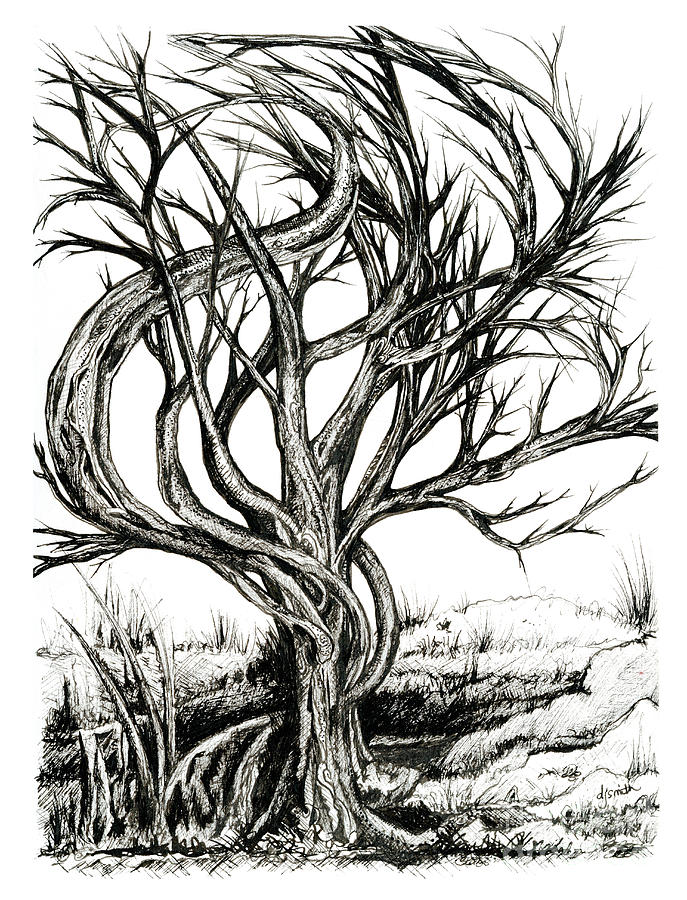 Twisted Tree Drawing. 
