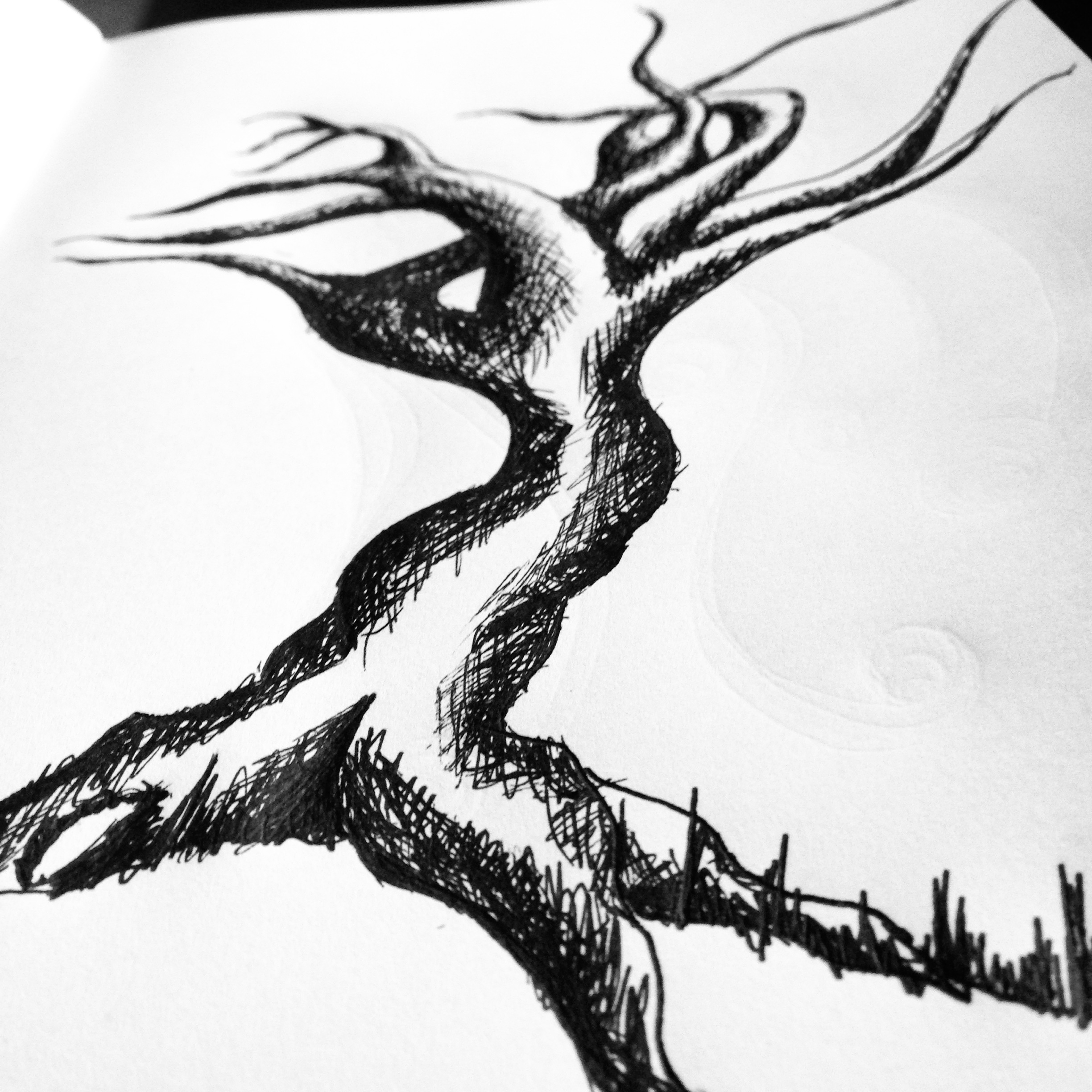 Twisted Tree Drawing at Explore collection of