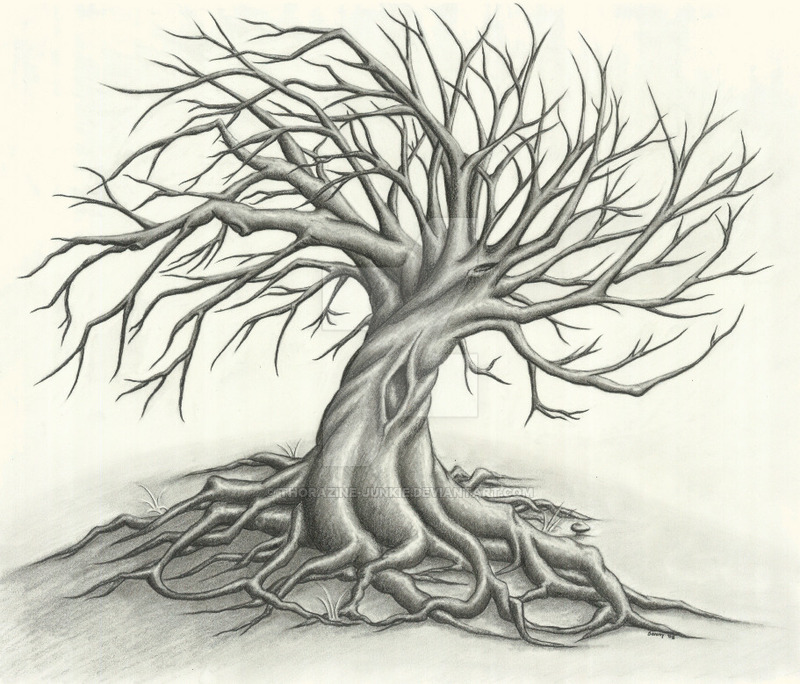 800x684 Twisted Tree - Twisted Tree Drawing