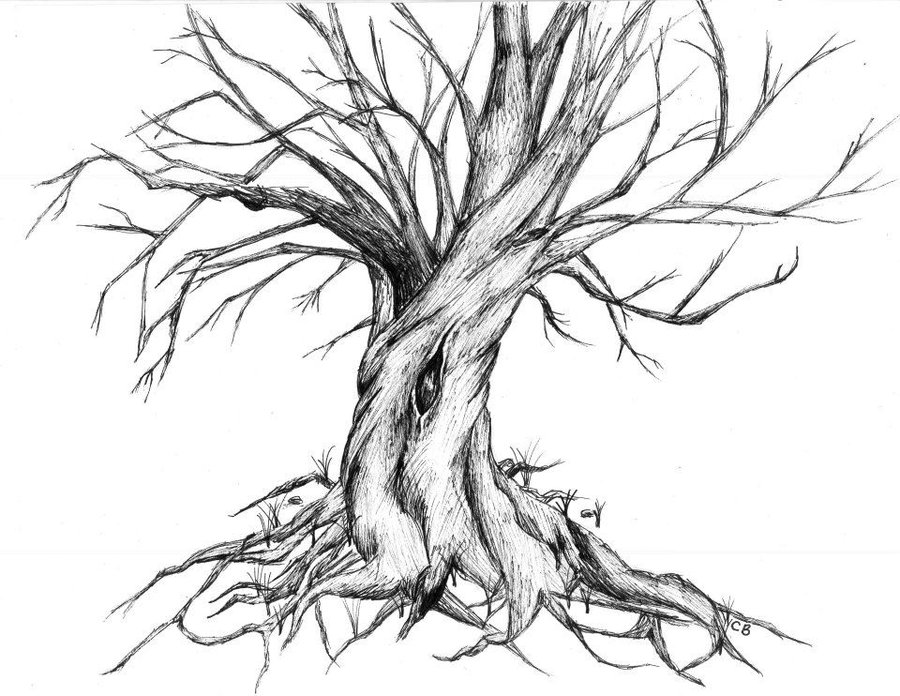 Twisted Drawing Root For Free Download - Twisted Tree Drawing. 