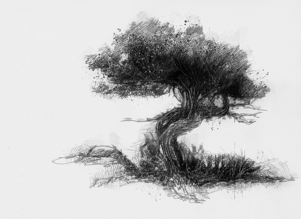 Twisted Tree Drawing at PaintingValley.com | Explore collection of