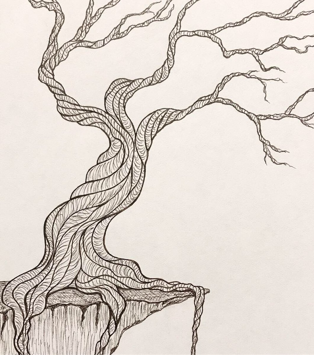 Treedrawing Hashtag On Twitter - Twisted Tree Drawing. 