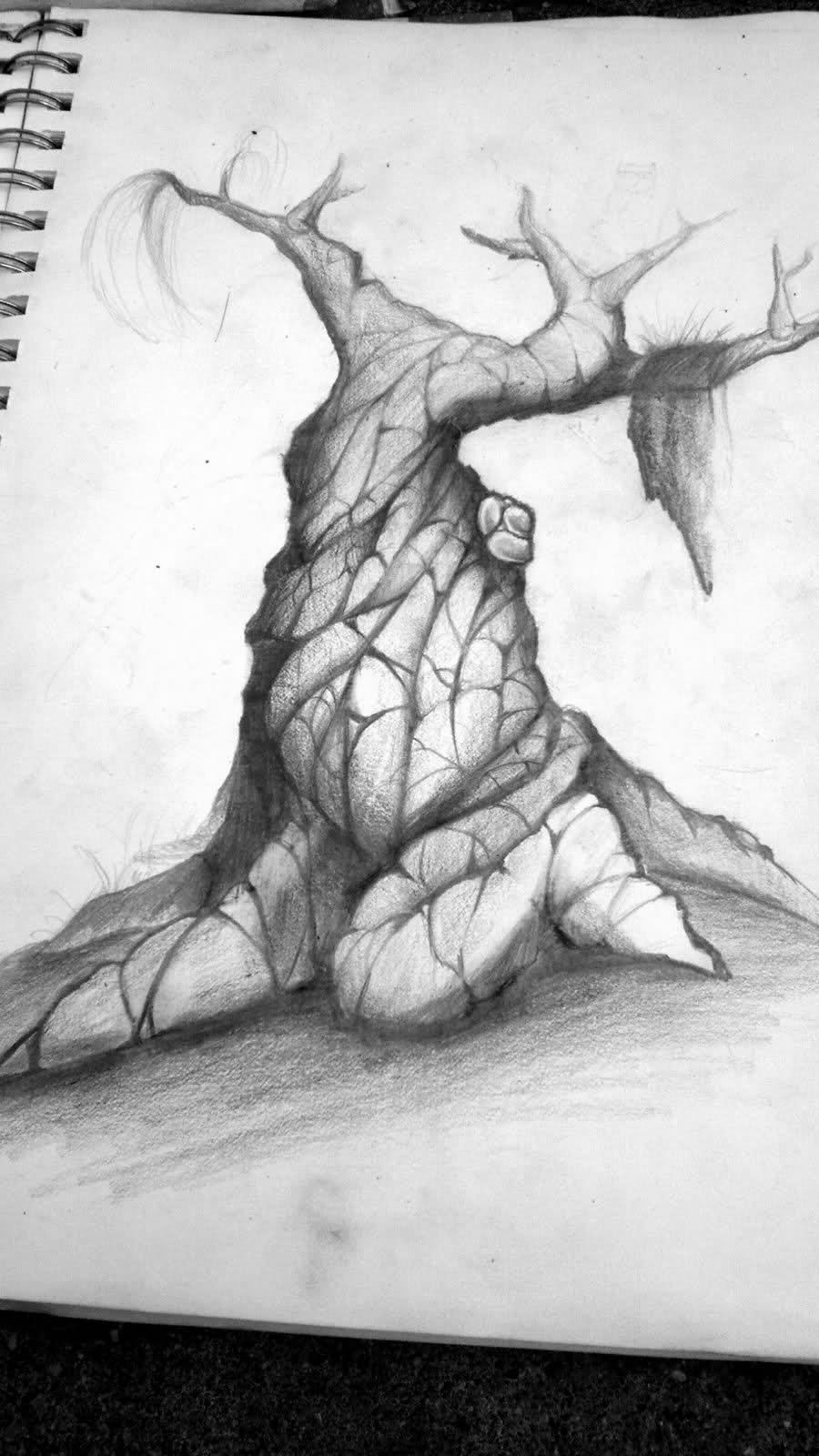 900x1600 Drawing Twisted Tree - Twisted Tree Drawing