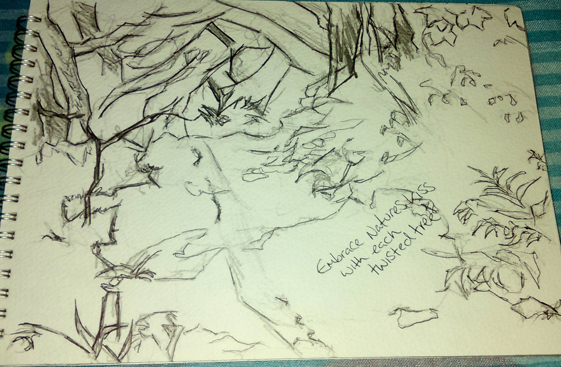 1920x1257 Embrace Natures Kiss With Each Twisted Tree Drawing - Twisted Tree Drawing