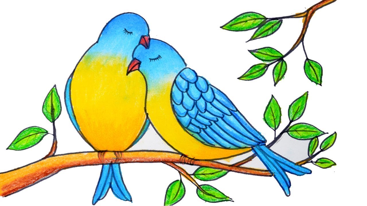 Love Birds Drawing Images Download Love Birds Coloring Bodyshwasume Wallpaper