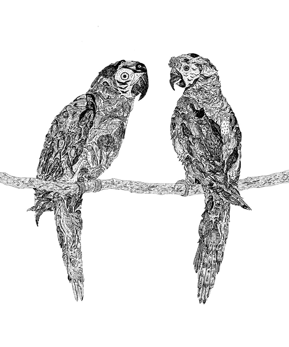 1000x1200 It's A Bird X Ink Drawing Chazmania - Two Birds Drawing