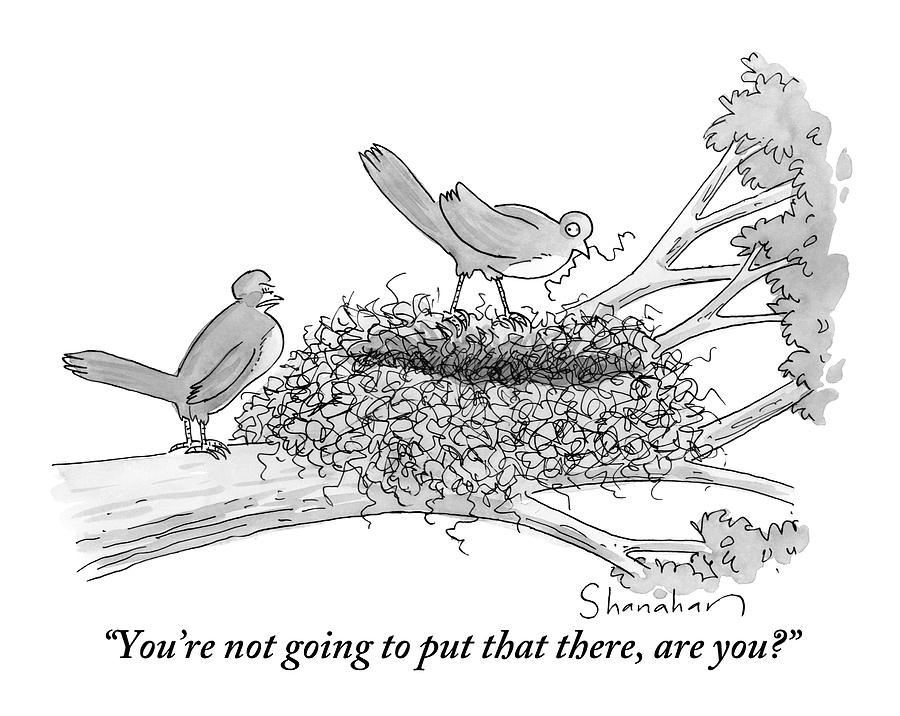 900x716 two birds are seen in a nest in a tree drawing - Two Birds Drawing