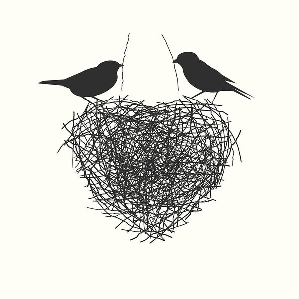 600x601 Two Birds Making Heir Nest Art Print - Two Birds Drawing